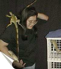 Cat and Igs (Photo by P . Burdette)