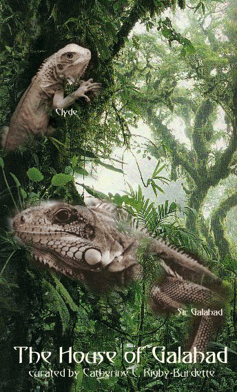 Forest Iguanas. (digital composition by C. Rigby)