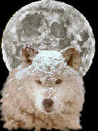 moon wolf image