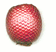 Fruto de Mauritia vinifera