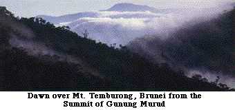 Dawn over Mt. Temburong