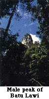 Male Peak of Batu Lawi
