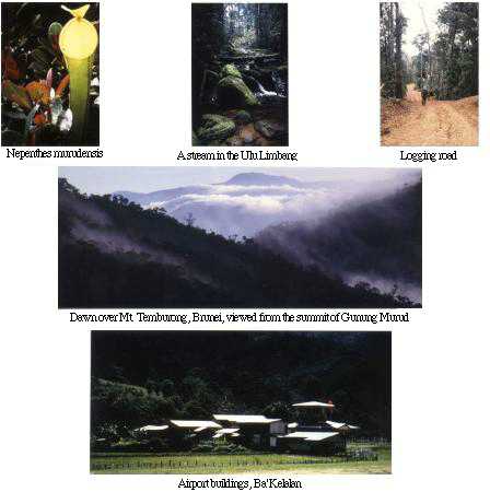 Photographs 28-32