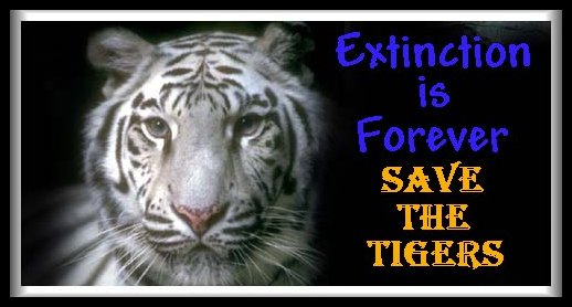 Save The Tigers