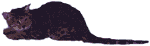 EmberGlo Stud Service