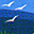 Biodiversity_but5.gif (1856 bytes)