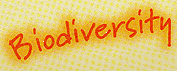 Biodiversity_head.gif (13913 bytes)