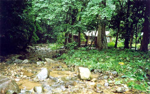 Nature