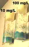 100 mg/L and 10 mg/L