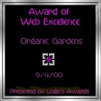 Logic's Web Excellence Silver Award