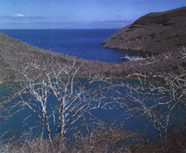 Islas Galpagos