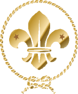 Scouts