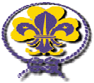 Scouts y Girls Scouts Chile