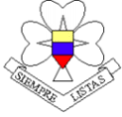 Girls Scouts vlza
