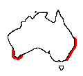 Map of H. whitei distribution