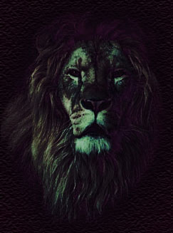 lion