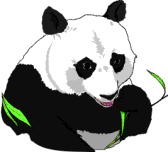 panda