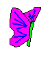 adopted butterfly