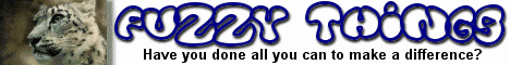 Fuzzy Things Banner # 2