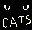 Cats!
