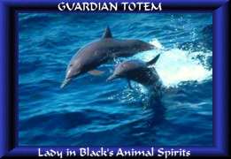 dolphin