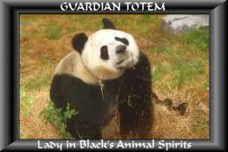 panda