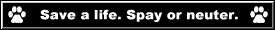 Spay or Nueter