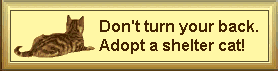 Adopt shelter pets