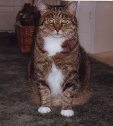 Tabatha