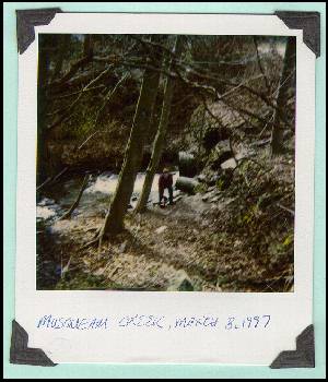 Site 3 and 4