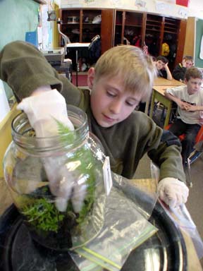 Eco Jar