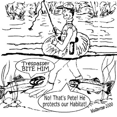 Pete Cartoon