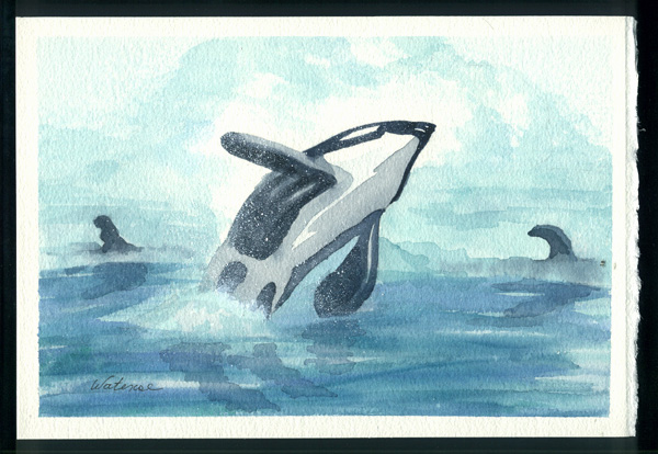 Whale