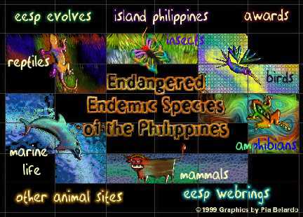 Welcome to the EESP!