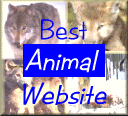 Best Animal Website