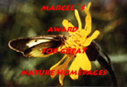 Marcel's Award for Great Nature Homepages