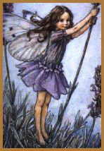 [fairy by Cicely Mary Barker]