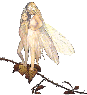 [2 sweet faeries]