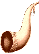 [bone horn]