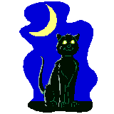 [black cat]