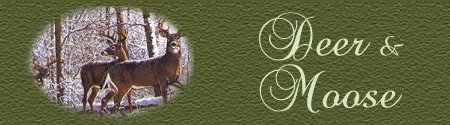 Deer