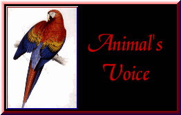 Click here to join the Animal's Voice Ring