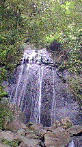 [Waterfall at El Yunque Rain Forest]