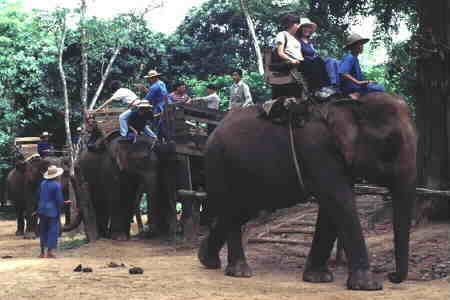 Jumbo joy rides