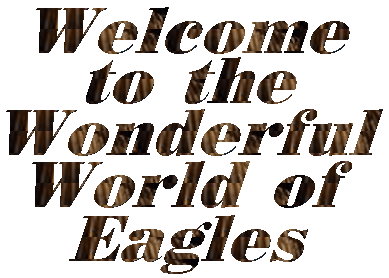 Welcome to my Eagles Page