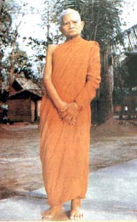 sujinno.jpg (21778 bytes)
