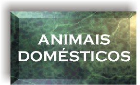 Domsticos