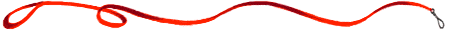 coleira