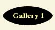 Gallery 1