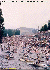 Sella2.jpg